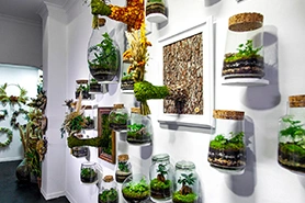 Plant installation